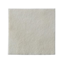 BIATAIN ALGINATE 10X10CM